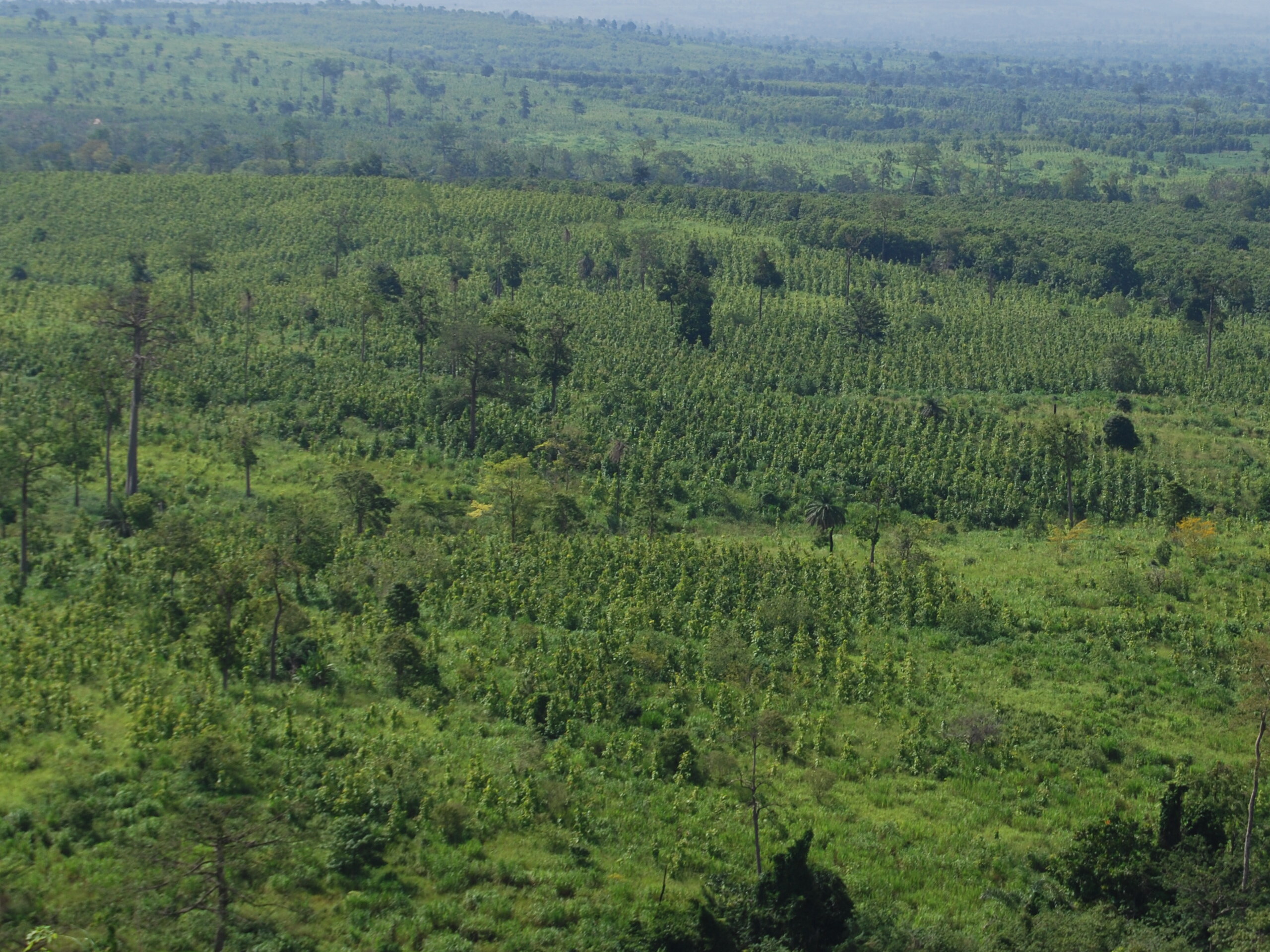 Environment and natural resource management